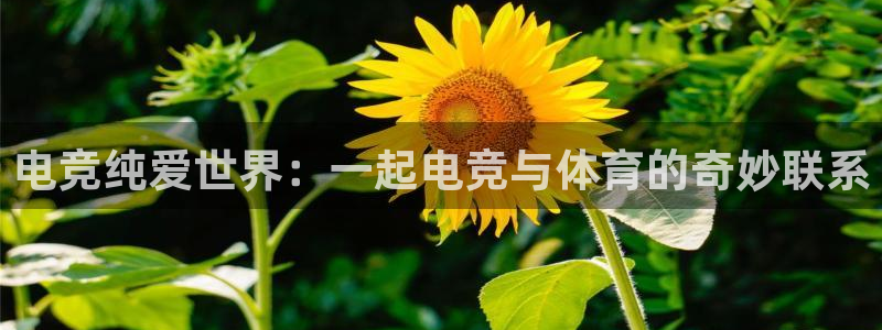 完美电竞cs：电竞纯爱世界：一起电竞与体育的奇妙联系