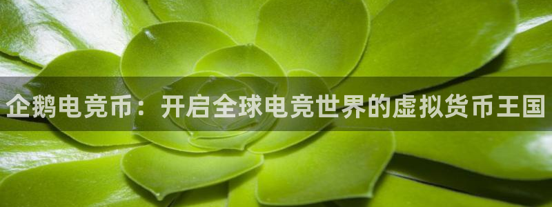完美电竞世界平台：企鹅电竞币：开启全球电竞世界的虚拟货币王国