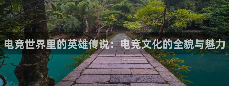 完美电竞注册：电竞世界里的英雄传说：电竞文化的全貌与魅力