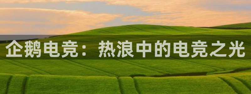 完美电竞app：企鹅电竞：热浪中的电竞之光