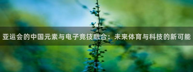 完美电竞平台排行榜：亚运会的中国元素与电子竞技融合：未来体育与科技的新可能