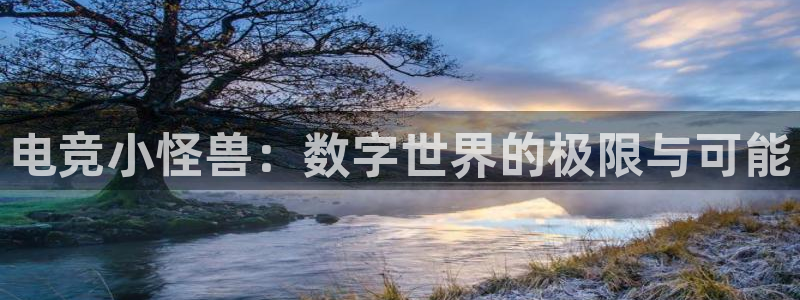 完美电竞联赛：电竞小怪兽：数字世界的极限与可能