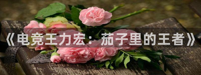完美电竞世界：《电竞王力宏：茄子里的王者》