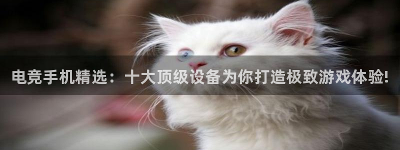 完美电竞世界官网