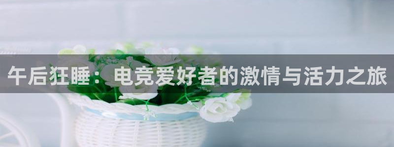 完美电竞app
