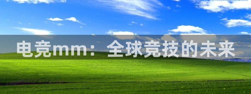 完美电竞大会员：电竞mm：全球竞技的未来