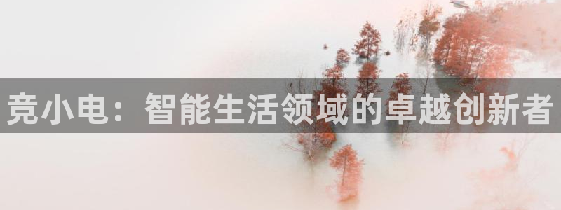 完美电竞|官网