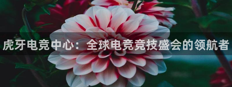完美电竞绑定steam