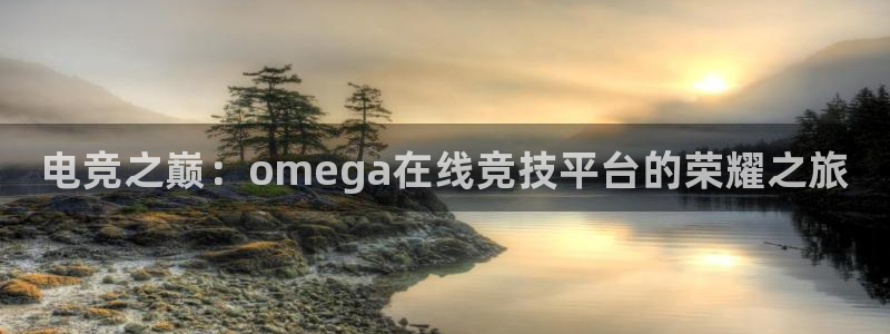 完美电竞注册：电竞之巅：omega在线竞技平台的荣耀之旅