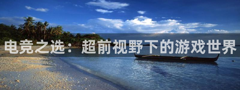 完美电竞平台排行榜：电竞之选：超前视野下的游戏世界