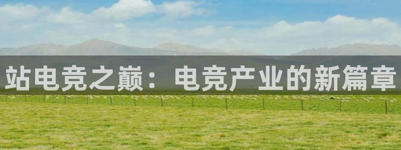 完美电竞|官网