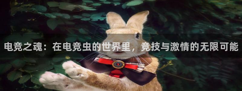 完美电竞|官网：电竞之魂：在电竞虫的世界里，竞技与激情的无限可能
