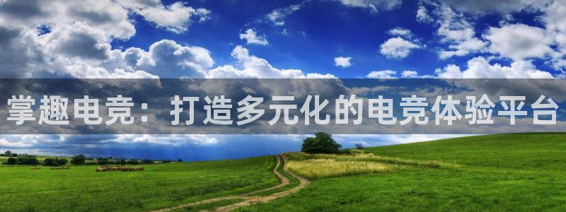 完美电竞竞技平台：掌趣电竞：打造多元化的电竞体验平台