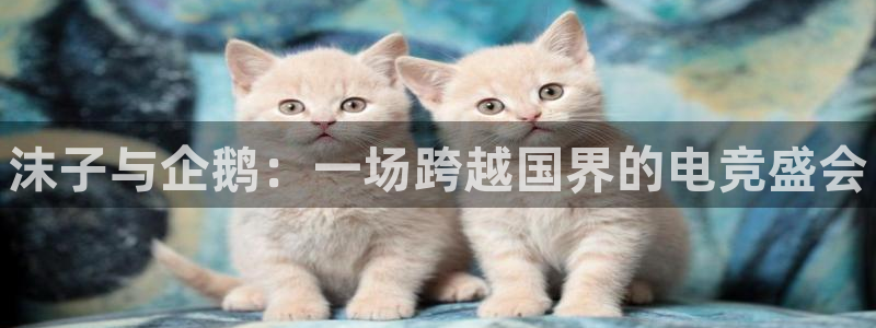 cs完美电竞平台：沫子与企鹅：一场跨越国界的电竞盛会