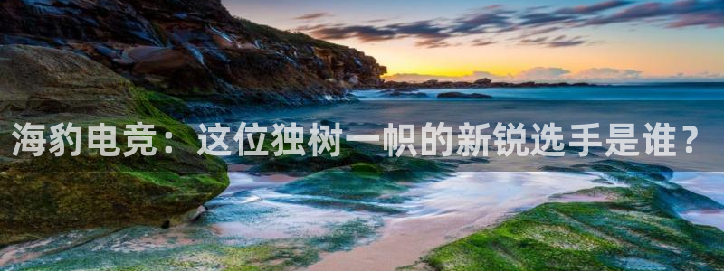 完美电竞世界：海豹电竞：这位独树一帜的新锐选手是谁？