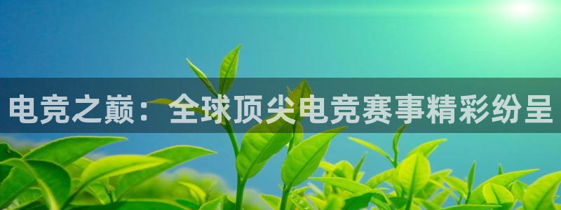 完美电竞大会员：电竞之巅：全球顶尖电竞赛事精彩纷呈