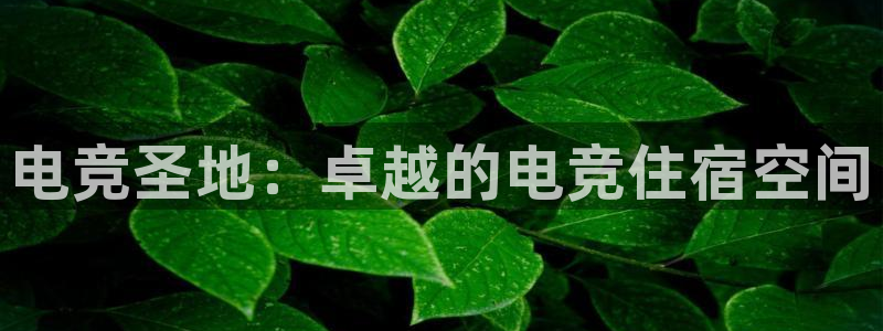 完美电竞账号：电竞圣地：卓越的电竞住宿空间