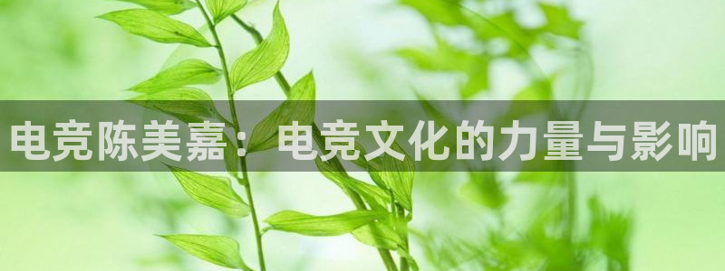 完美电竞平台官网网址：电竞陈美嘉：电竞文化的力量与影响
