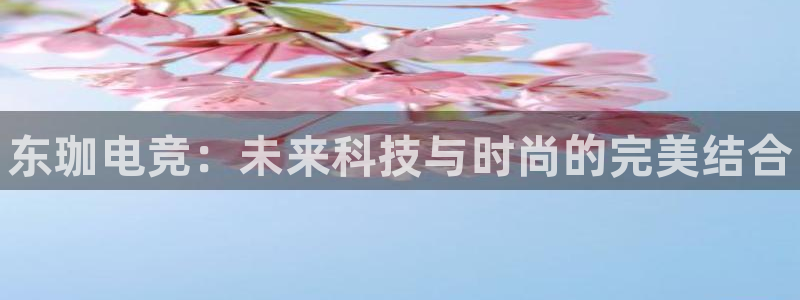 完美电竞世界平台：东珈电竞：未来科技与时尚的完美结合
