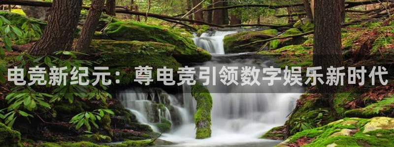 完美电竞世界平台：电竞新纪元：尊电竞引领数字娱乐新时代