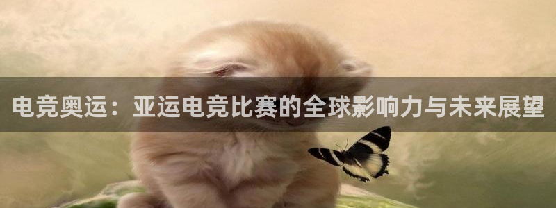完美电竞官网盛大升级
