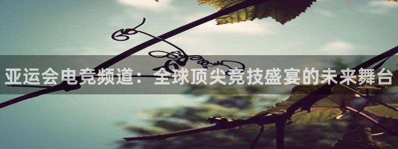 完美电竞下载：亚运会电竞频道：全球顶尖竞技盛宴的未来舞台