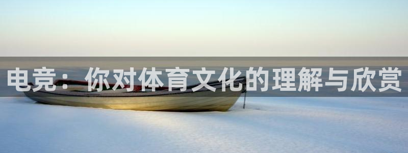 csgo完美电竞平台：电竞：你对体育文化的理解与欣赏