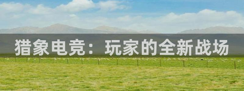 完美电竞竞技平台：猎象电竞：玩家的全新战场