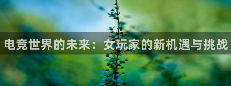 完美电竞平台官网