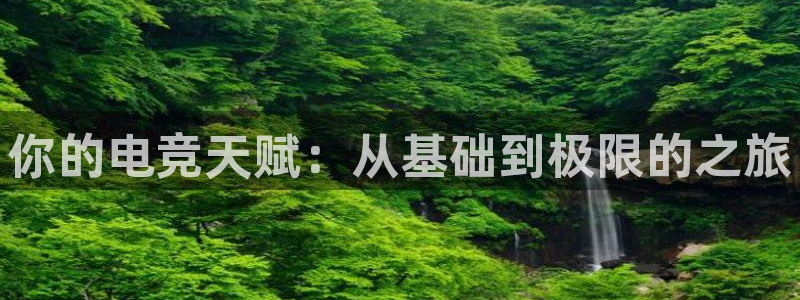 完美电竞查询：你的电竞天赋：从基础到极限的之旅