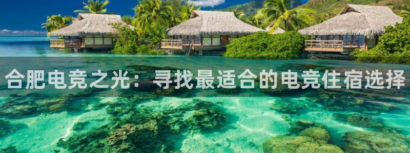 完美电竞平台排行榜：合肥电竞之光：寻找最适合的电竞住宿选择