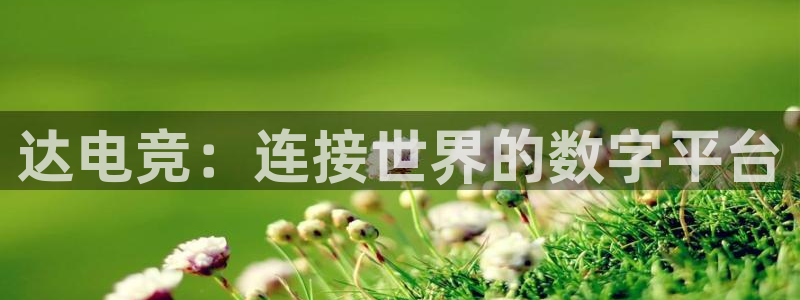 完美电竞官网首页：达电竞：连接世界的数字平台
