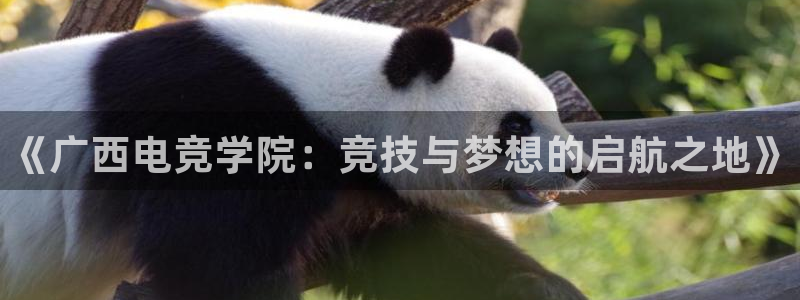 完美电竞世界官网：《广西电竞学院：竞技与梦想的启航之地》