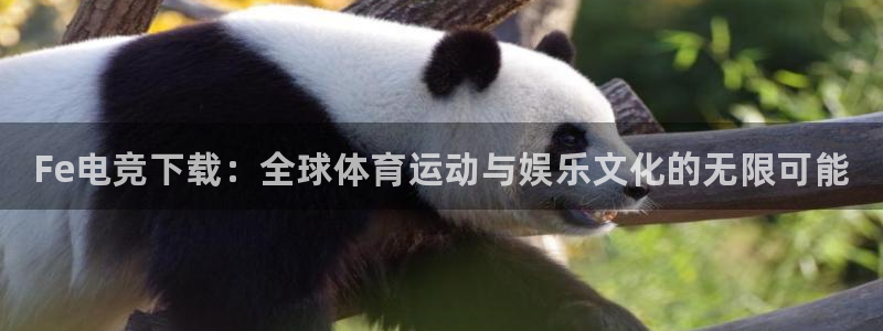 完美电竞app下载：Fe电竞下载：全球体育运动与娱乐文化的无限可能