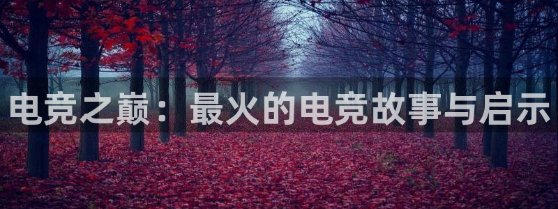 完美电竞官网