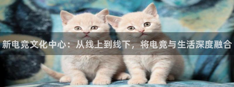 完美电竞世界：新电竞文化中心：从线上到线下，将电竞与生活深度融合