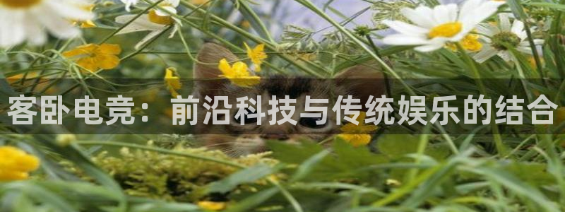 完美电竞世界：客卧电竞：前沿科技与传统娱乐的结合