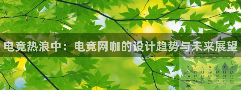 完美电竞查询：电竞热浪中：电竞网咖的设计趋势与未来展望