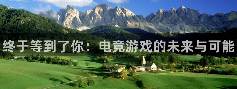 完美电竞平台官网：终于等到了你：电竞游戏的未来与可能
