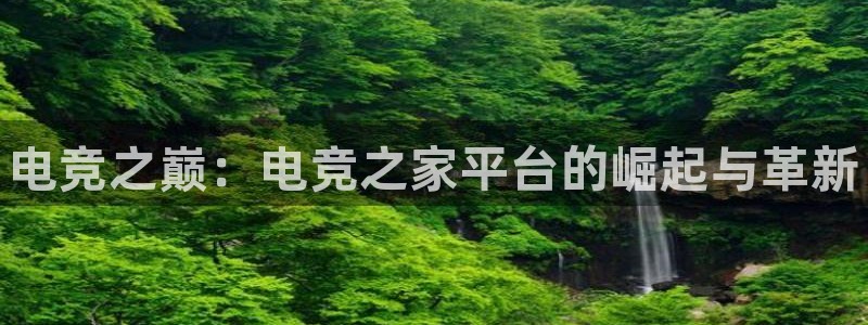 完美电竞世界官网