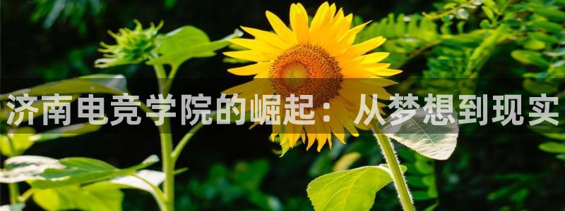 完美电竞绑定steam：济南电竞学院的崛起：从梦想到现实