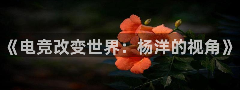 完美电竞直播：《电竞改变世界：杨洋的视角》
