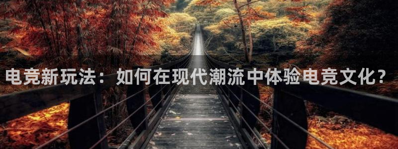 csgo完美电竞平台：电竞新玩法：如何在现代潮流中体验电竞文化？