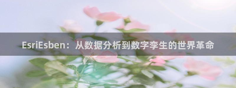 完美电竞cs：EsriEsben：从数据分析到数字孪生的世界革命