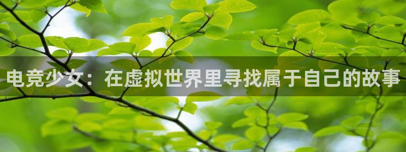 完美电竞查询：电竞少女：在虚拟世界里寻找属于自己的故事
