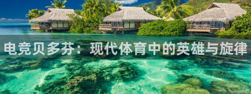 完美电竞世界官网：电竞贝多芬：现代体育中的英雄与旋律