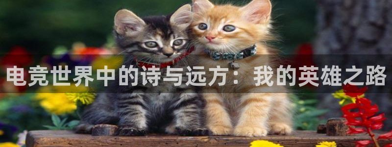 cs完美电竞平台：电竞世界中的诗与远方：我的英雄之路