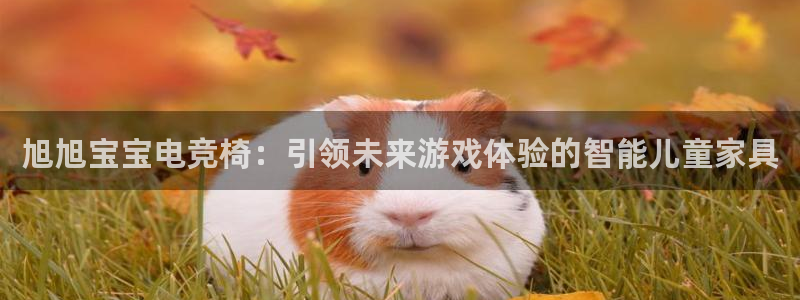 完美电竞对战：旭旭宝宝电竞椅：引领未来游戏体验的智能儿童家具