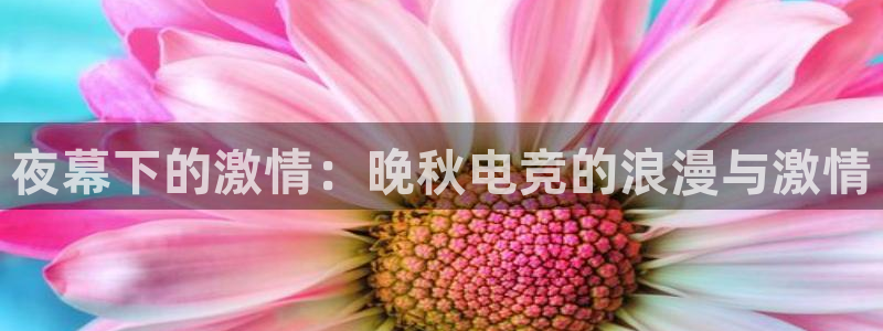 完美电竞官网盛大升级：夜幕下的激情：晚秋电竞的浪漫与激情