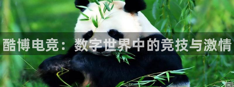 完美电竞官网首页：酷博电竞：数字世界中的竞技与激情